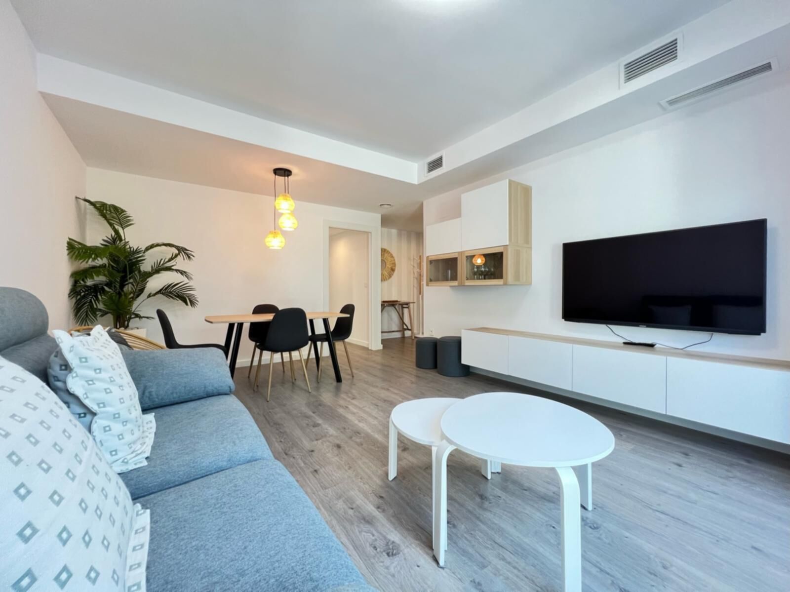 TV, video library