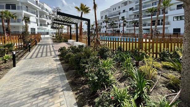 Un camino conduce a una zona de piscina rodeada de palmeras y una cerca de madera, con edificios blancos modernos al fondo.