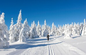 Deportes de invierno y ski
