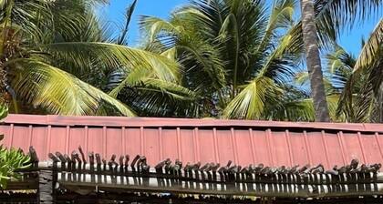 Villas de dream guest house #1