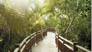 A wooden boardwalk through a lush, green forest. - Cozy retreat, has something for everyone,property has golf course and lazy river (Las Jarretaderas)