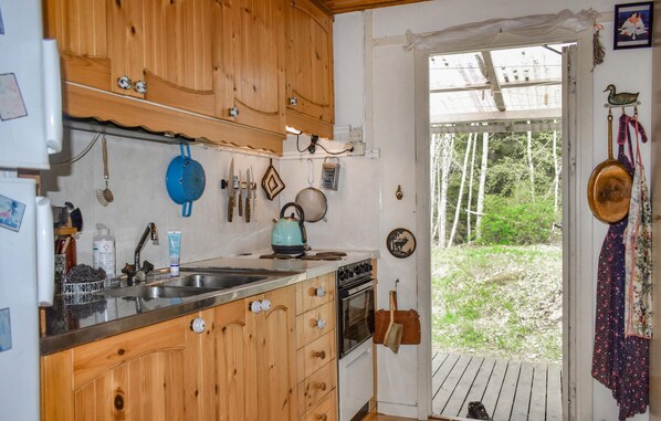 Fridge, stovetop, cookware/dishes/utensils