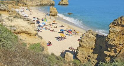 Libertos V4 by Interhome