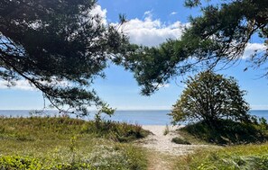 Een strandpad dat naar de zee leidt, omringd door bomen en begroeiing.