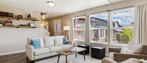 TV, fireplace, ping pong, books