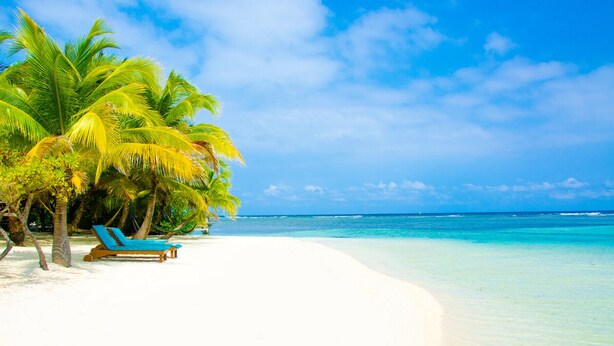 Une plage de sable blanc, avec une eau turquoise cristalline et des palmiers.