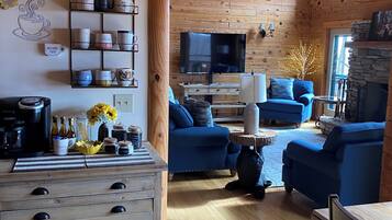 Smart TV, fireplace, books