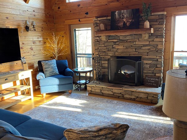 Smart TV, fireplace, books