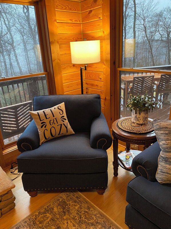 Smart TV, fireplace, books