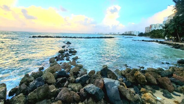 A coastal scene with a rocky shoreline, clear water, and a distant city skyline.