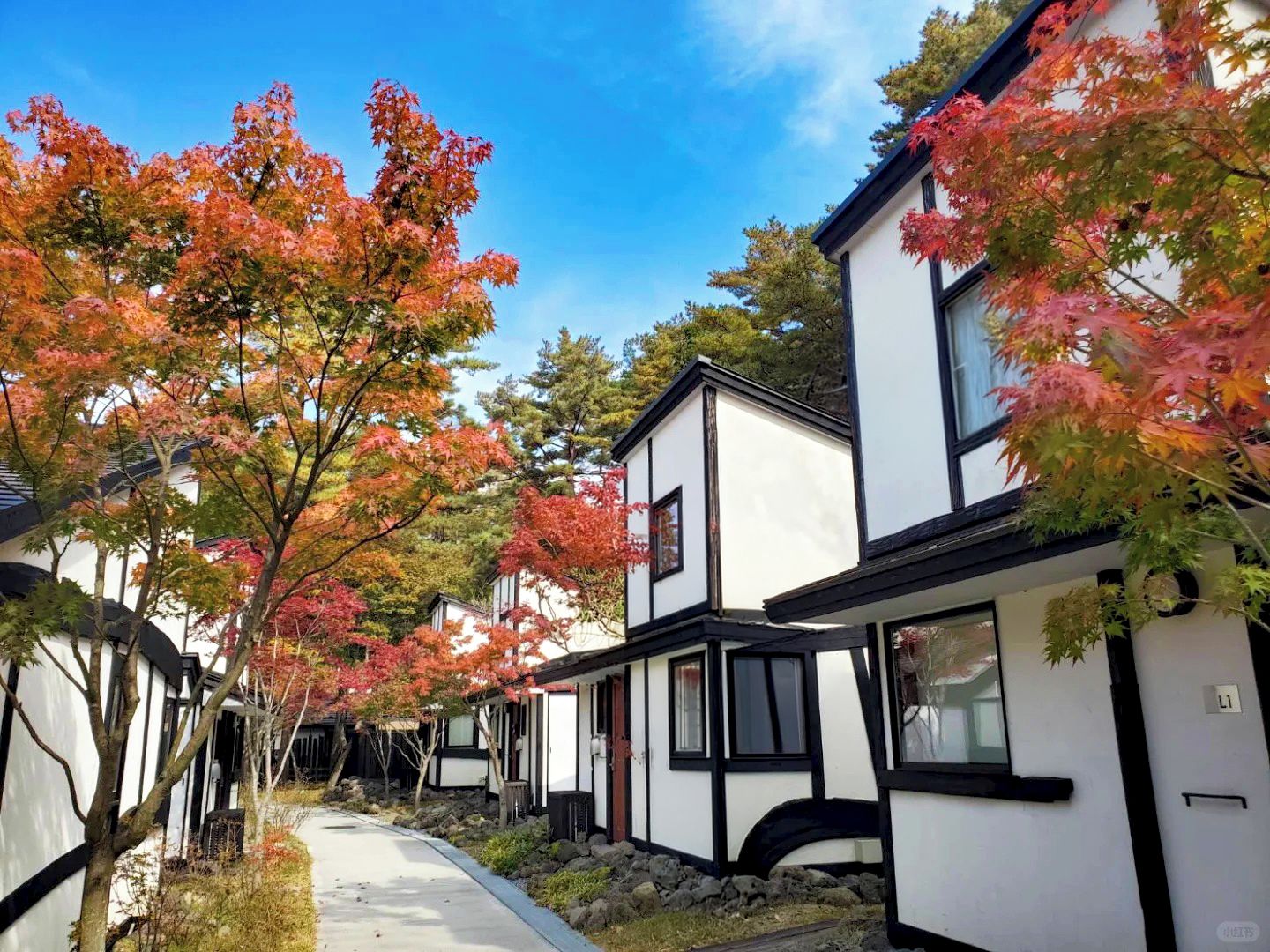A row of traditional Japanese-style buildings with a clear pathway between them.