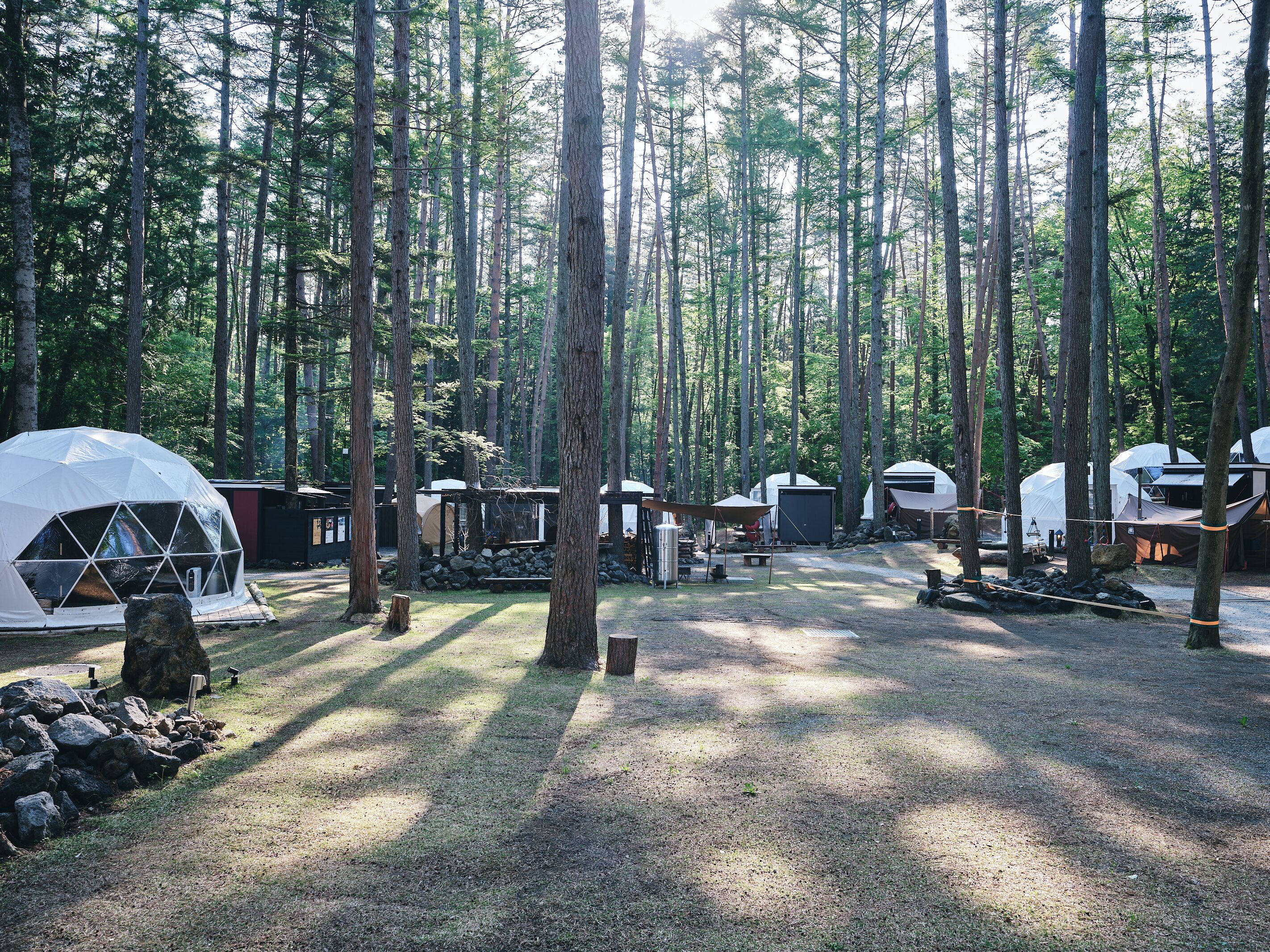 A forest campsite with dome-shaped tents and a small building, surrounded by tall trees.