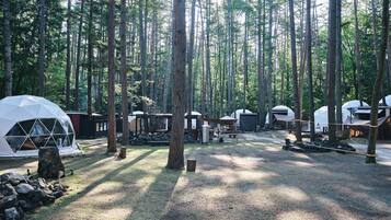 Um camping numa floresta com tendas em formato de cúpula e um pequeno edifício, rodeado por árvores altas.