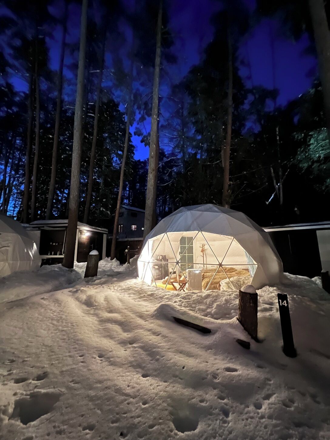 A snow-covered landscape with a geodesic dome structure illuminated from within, surrounded by tall trees and a cabin in the background.