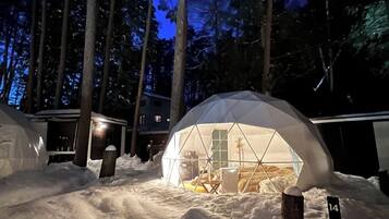 A snow-covered landscape with a geodesic dome structure illuminated from within, surrounded by tall trees and a cabin in the background.