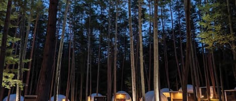 1 間臥室、獨特裝潢、布置獨特、床單