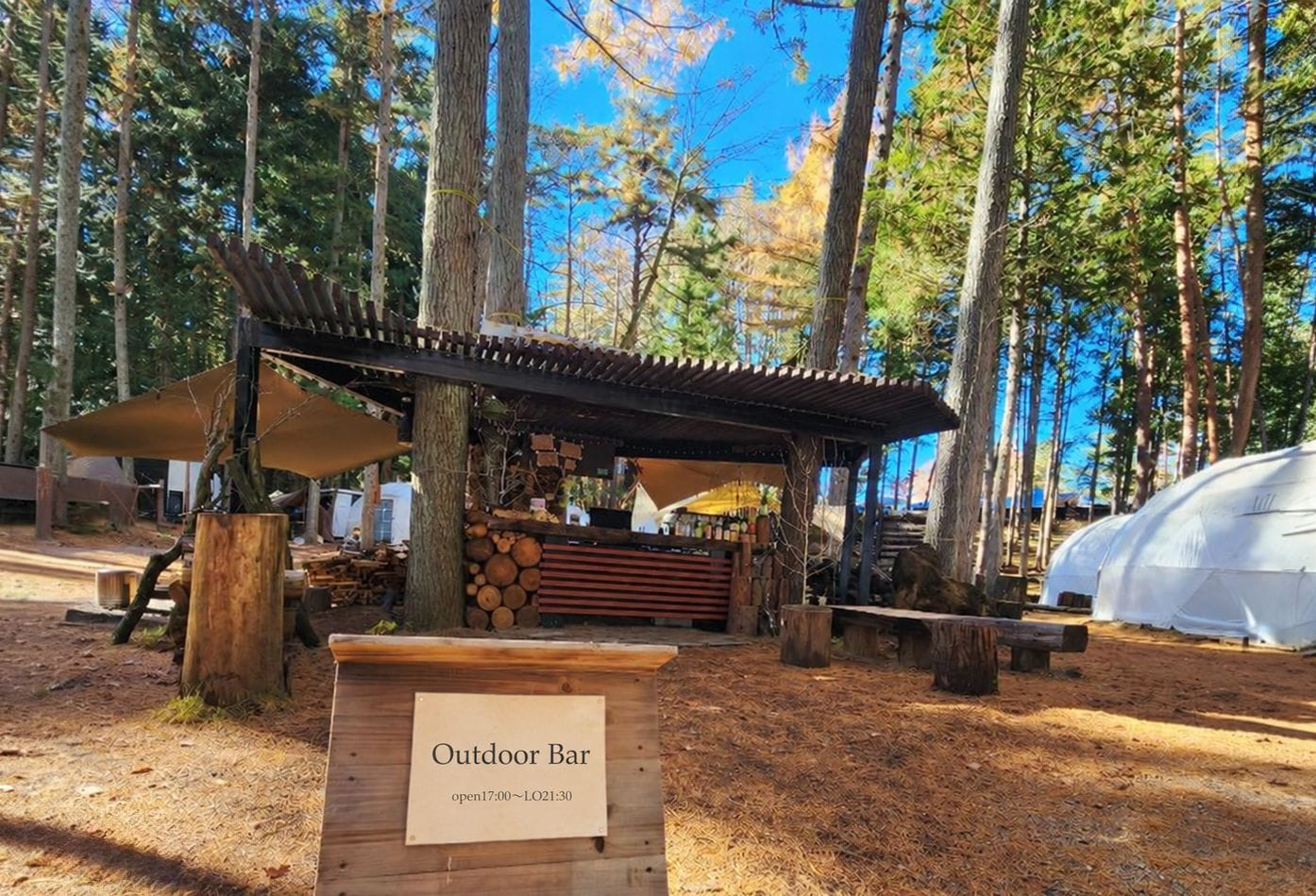 An outdoor bar with a wooden structure, surrounded by trees and a clear sky.