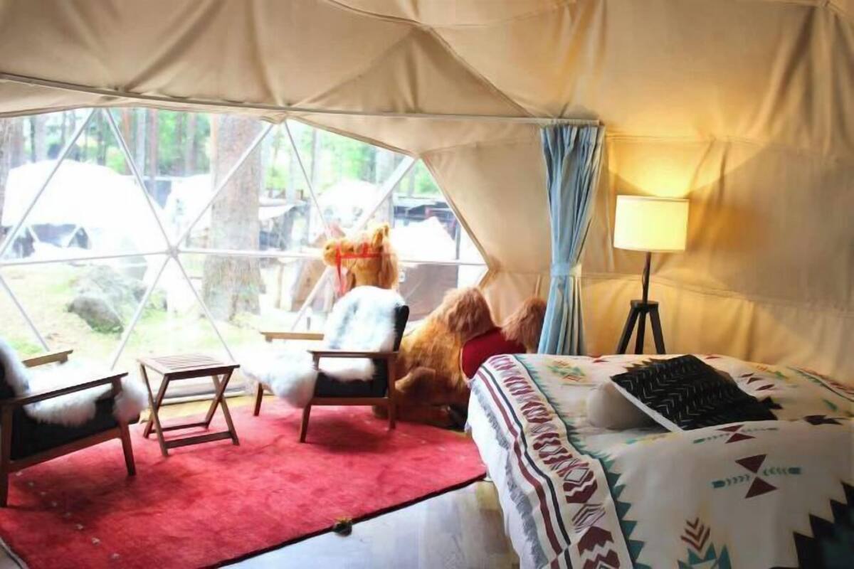 Individually decorated, individually furnished, bed sheets