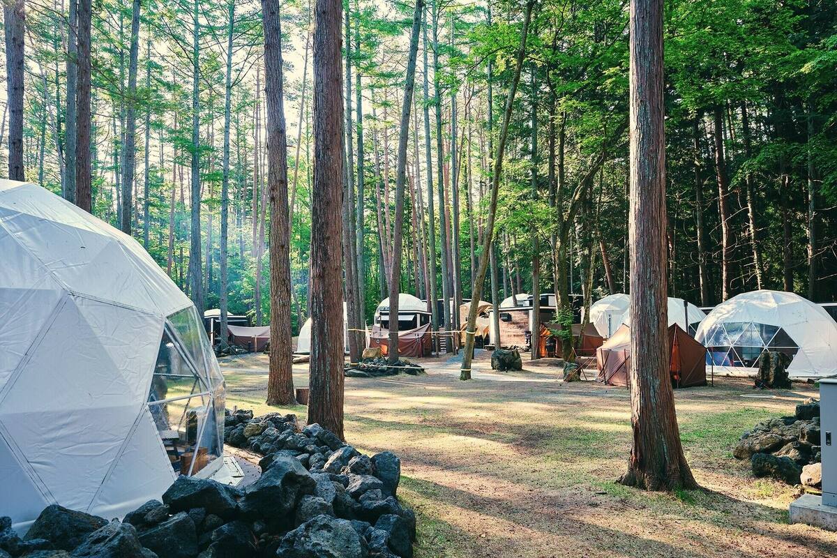 Un terrain de camping situé dans une forêt, avec plusieurs tentes en forme de dôme et des véhicules récréatifs.