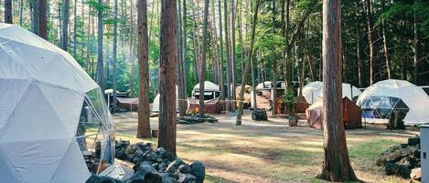 A forest campsite with multiple dome-shaped tents and RVs.