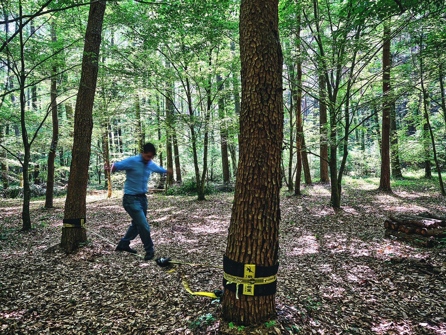 A forest with a person walking.