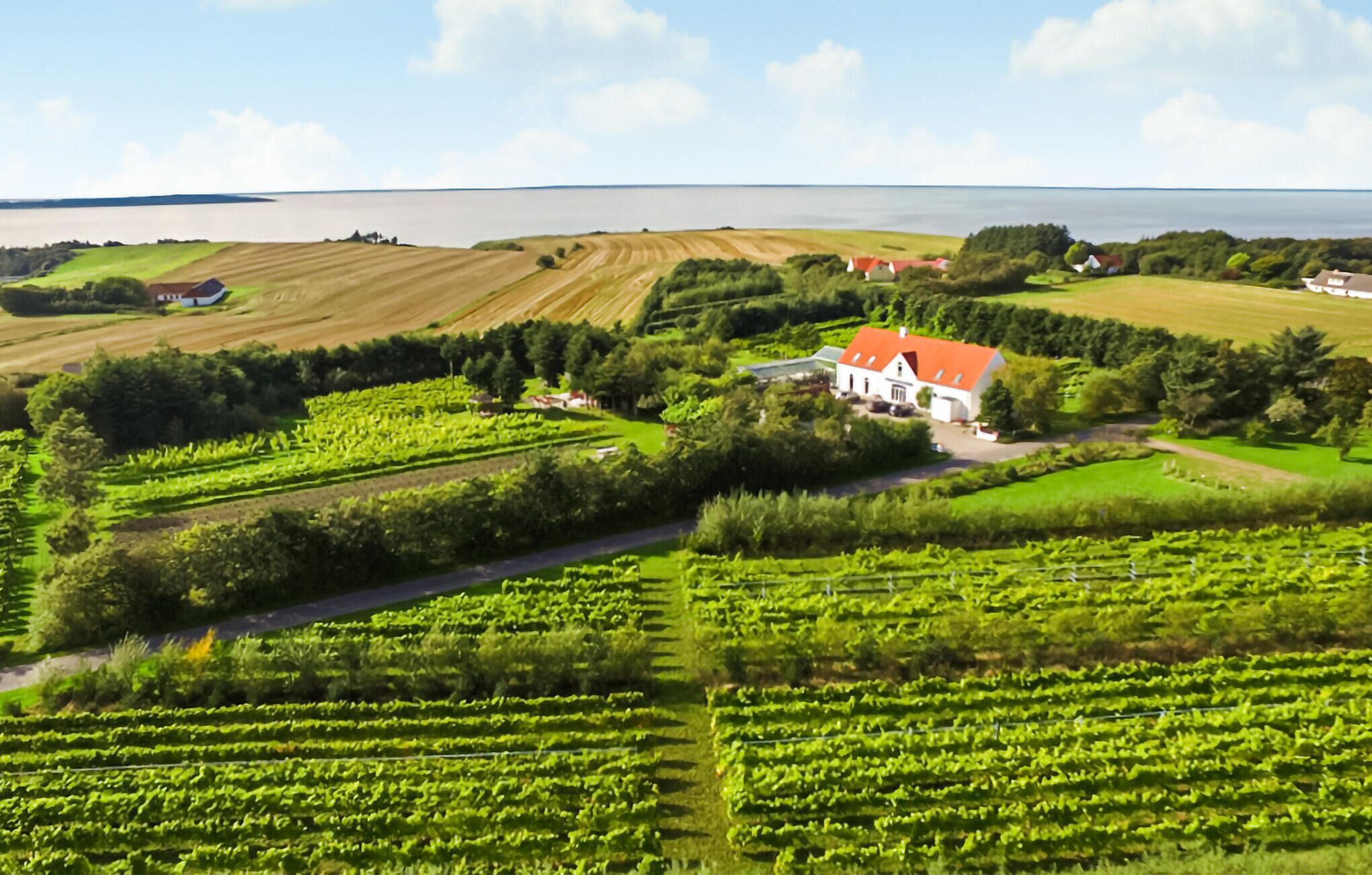 Ländliche Landschaft mit einem großen weißen Gebäude mit rotem Dach, umgeben von grünen Feldern und einem Gewässer im Hintergrund.