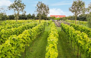 المنطقة المحيطة بالمنشأة