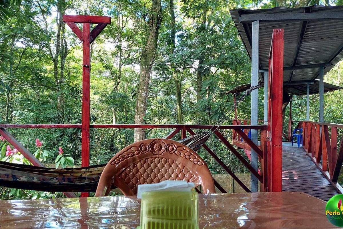 Une terrasse en bois avec une rambarde rouge, un espace salon abrité et une vue sur une zone boisée.
