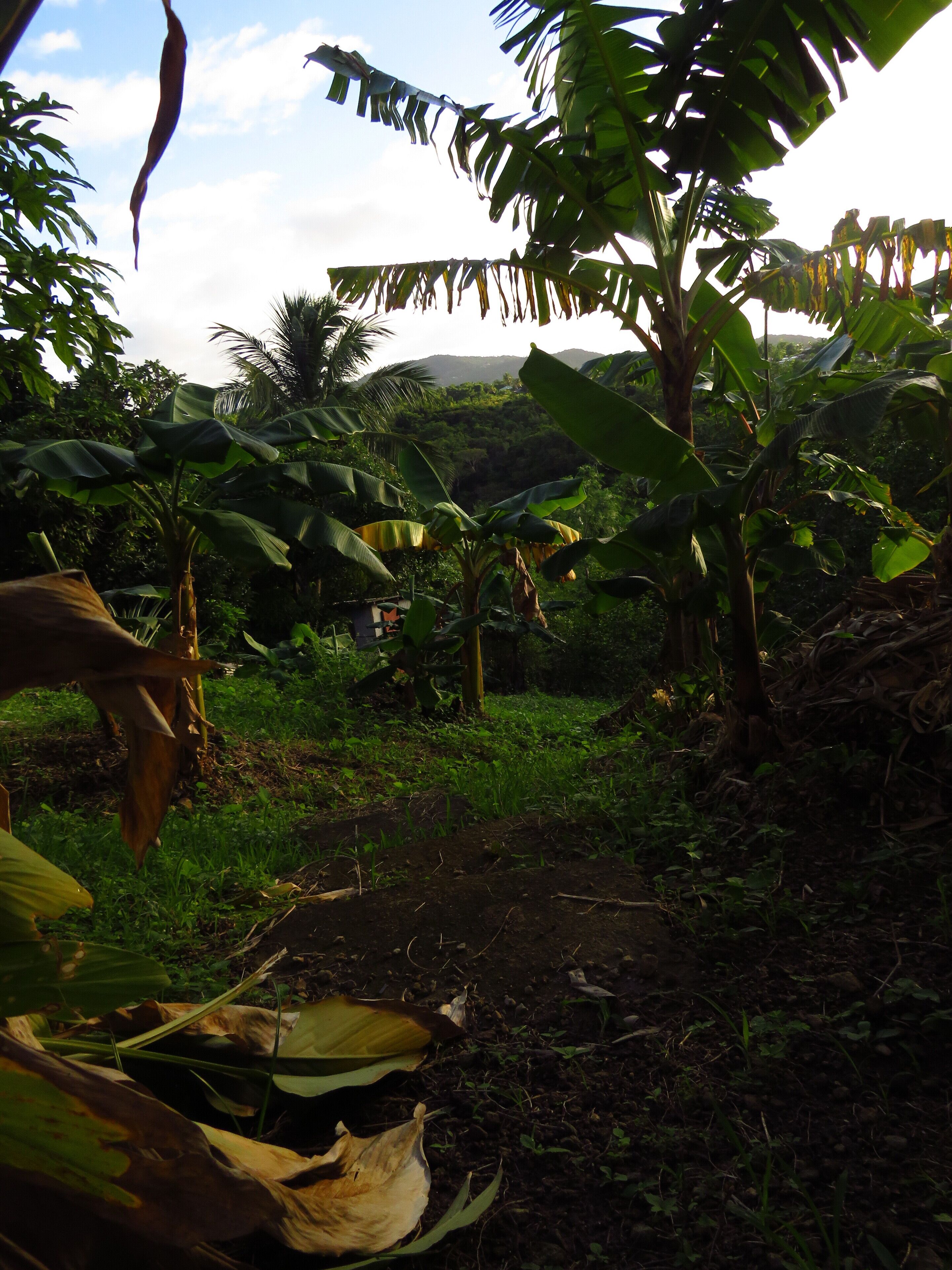 Overnatningsstedets område