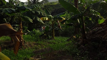 Overnatningsstedets område