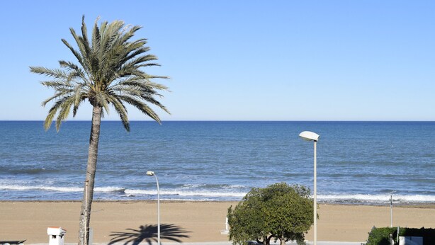 A beach with a palm tree, a street lamp, and a clear view of the ocean. - Anacasa Medina Molins les Marines AP2201 (Denia)