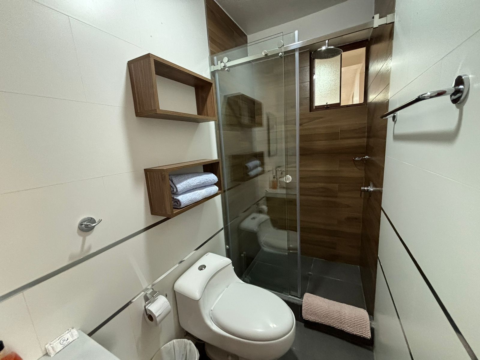 Bathroom shower