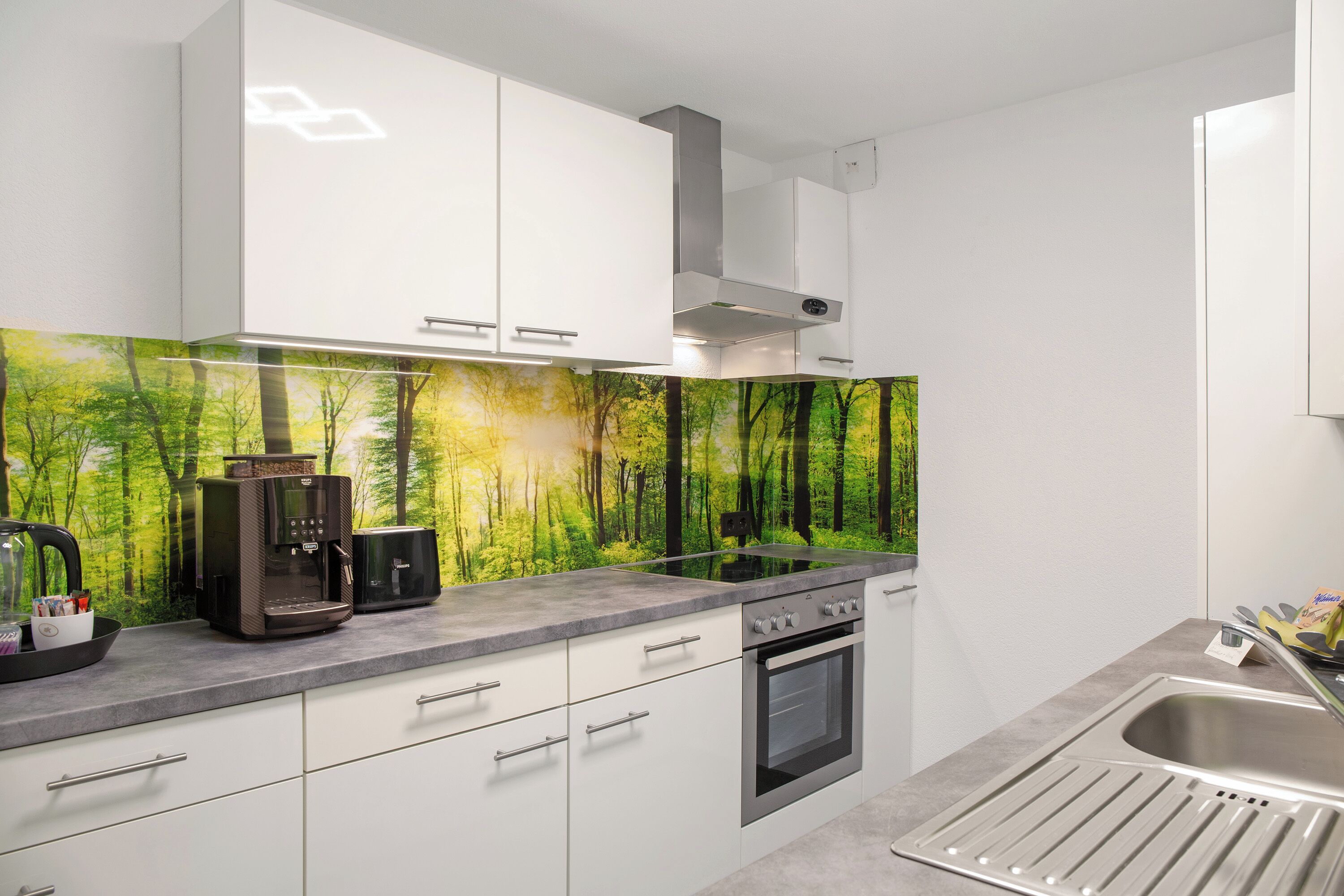 Frigorífico, horno, placa de cocina y lavavajillas