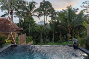 Outdoor pool - The Patra Villa (Sebatu)