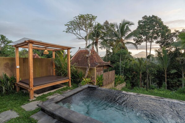 Outdoor pool - The Patra Villa (Sebatu)