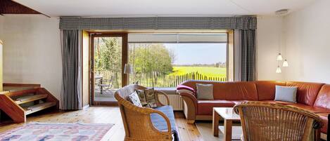 Télévision, cheminée, table de tennis de table, chaîne hi-fi