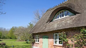 Una casa con tetto di paglia, una porta verde, mura in mattoni e una finestra con cornice bianca.