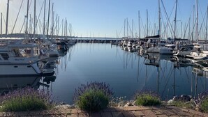 En lystbådehavn med flere både i havnen, roligt vand og en klar himmel.