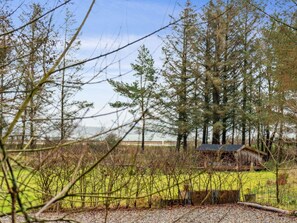 Escape to a serene cabin nestled among tall trees, offering a peaceful retreat with a grassy field view.