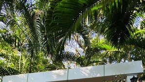 A tropical entrance with a 'Dream Catcher' sign, a dreamcatcher decoration, and a staircase leading to a covered area. - Feather Touch Hotels and Resorts Palolem (Canacona)