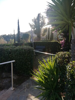 Un vialetto di giardino con cancello in metallo, circondato da diverse piante e alberi.