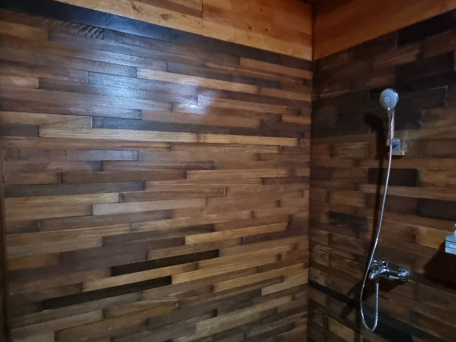 Ein Duschbereich mit Holzwänden, einer Handbrause und einem Seifenspender auf einem Regal.