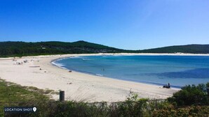 Ein Strand mit klarem, blauem Wasser, sandigem Ufer und Grün in der Ferne.
