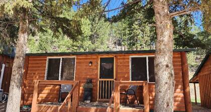 Close to Mt. Rushmore, Crazy Horse, Sylvan lake. Walk to 1880 train and Trails
