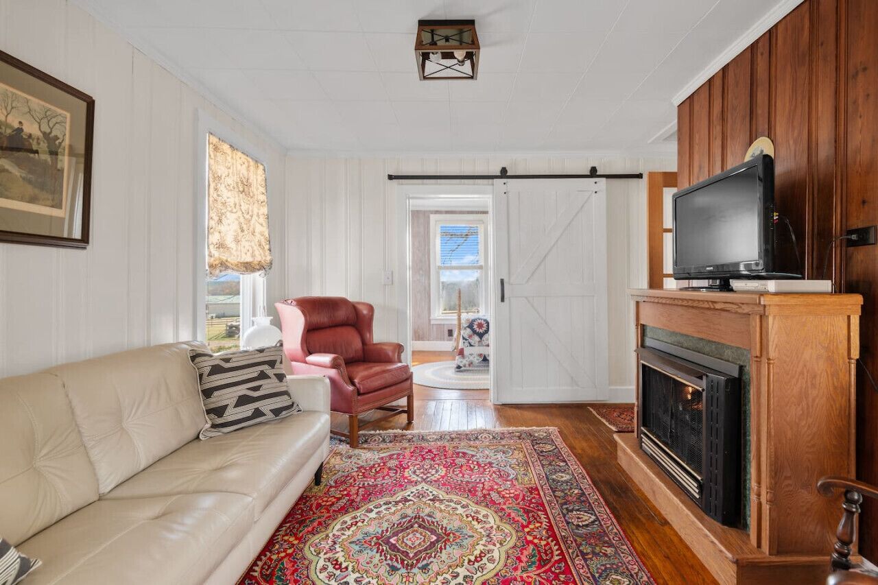 TV, fireplace, DVD player, books