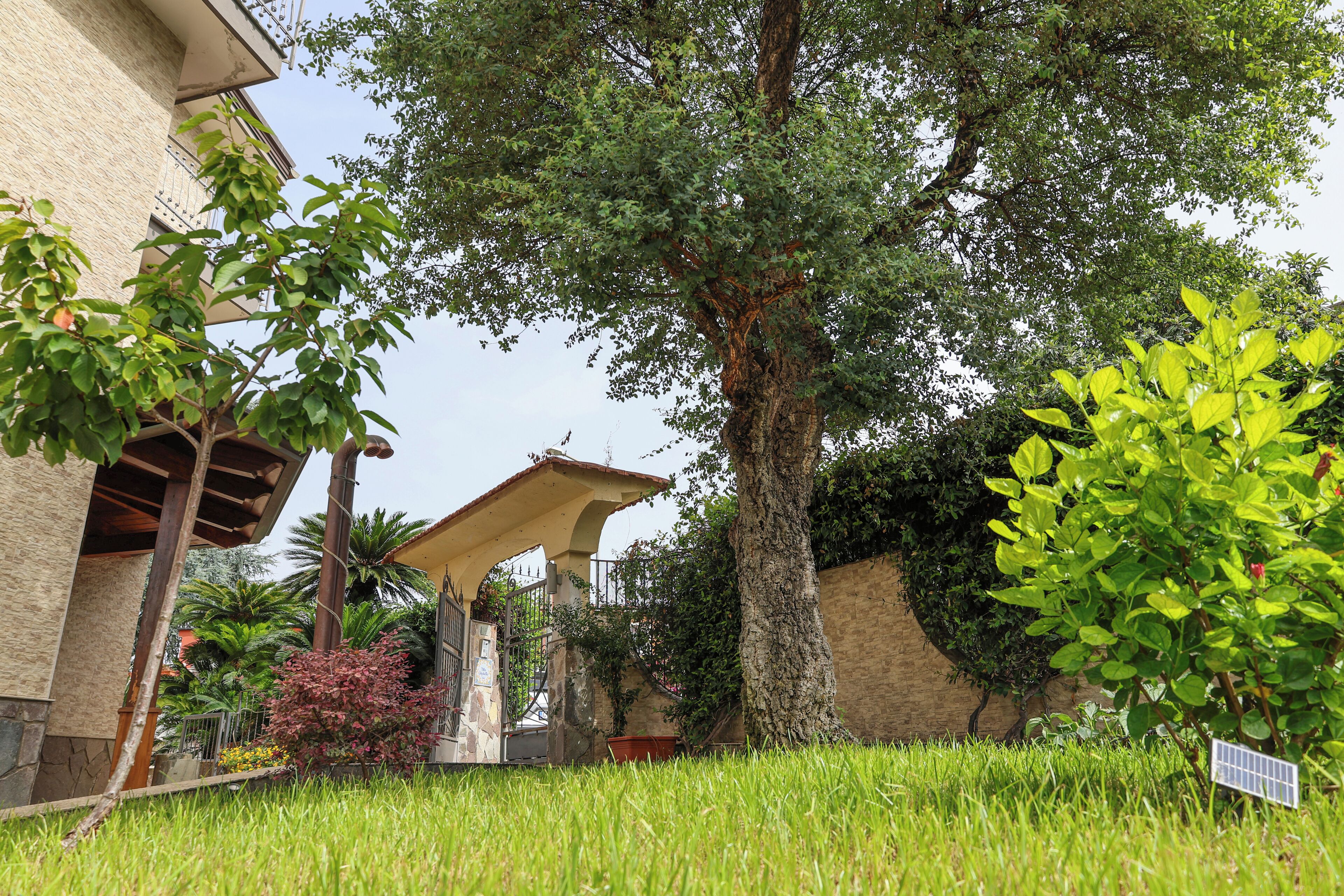 Tripla panoramica | Vista giardino