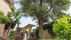 A courtyard with a large tree, a pergola, and a building with a stone facade. - villa Elisabetta (Pompei)