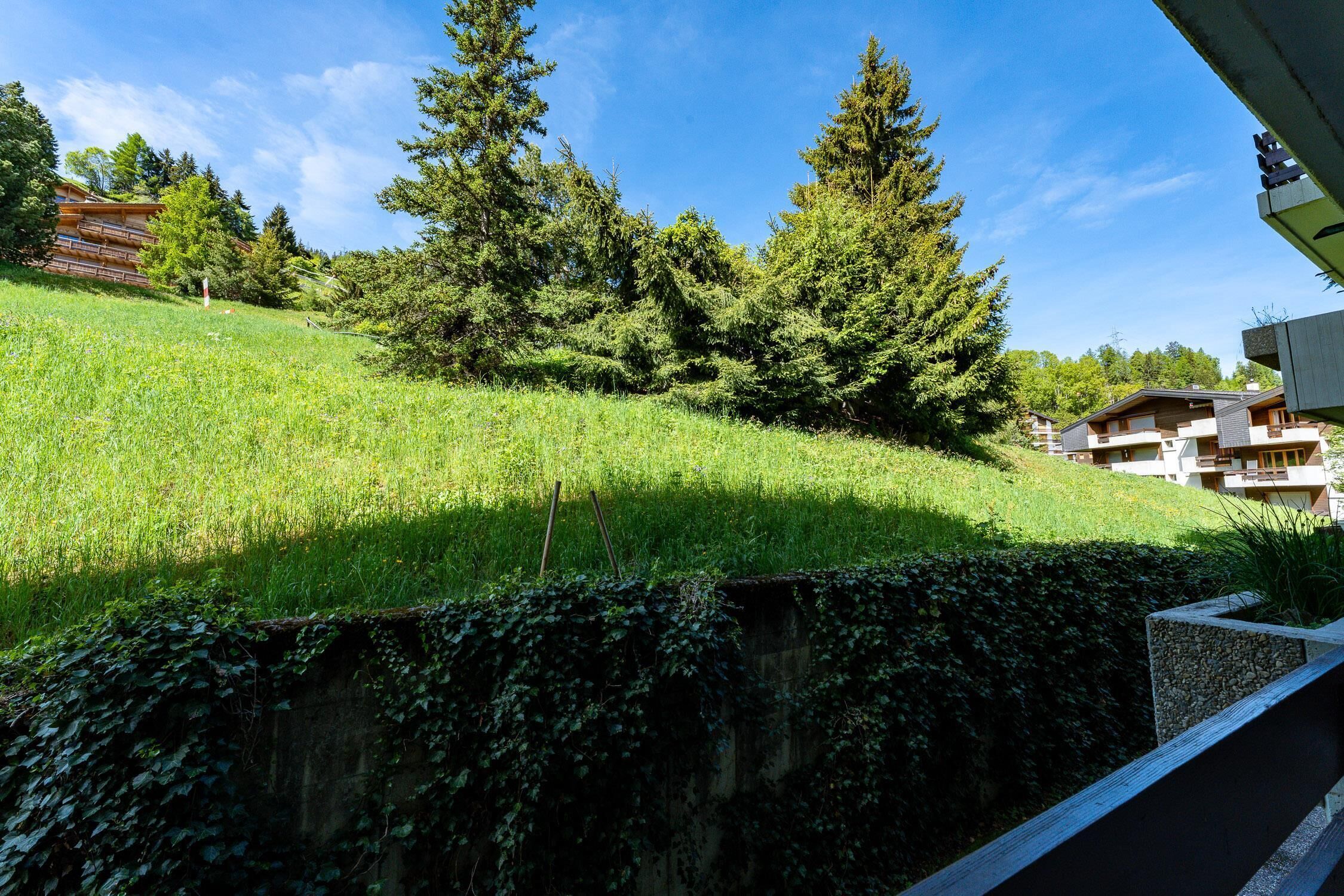 A hillside with a grassy slope, trees, and a building with a sloped roof.