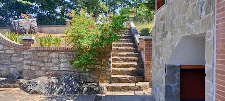 Exterior. Il Sottobosco