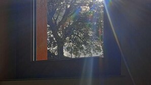 Ein Fenster mit Blick auf Bäume und eine helle Lichtquelle draußen.